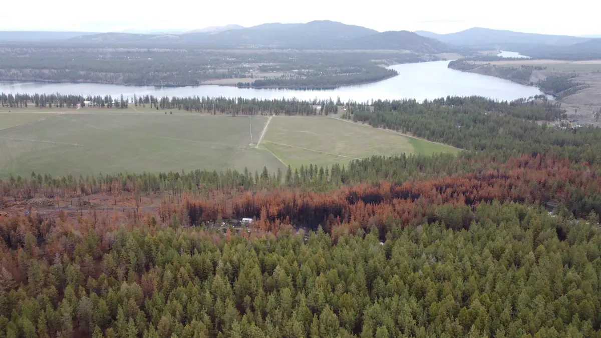 Xxx Coyote Ridge Ln, Ford, WA 99013 - Image #1