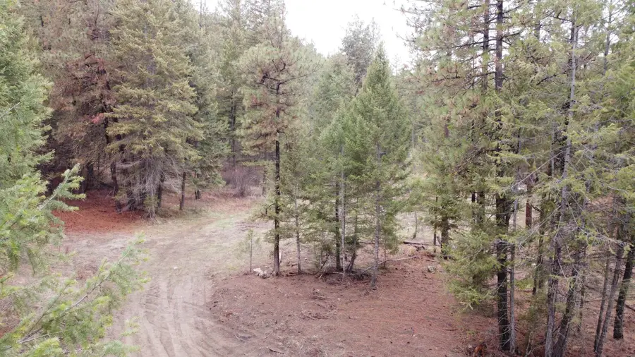 Xxx Coyote Ridge Ln, Ford, WA 99013 - Image #2