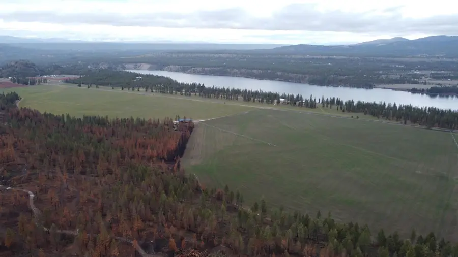 Xxx Coyote Ridge Ln, Ford, WA 99013 - Image #3