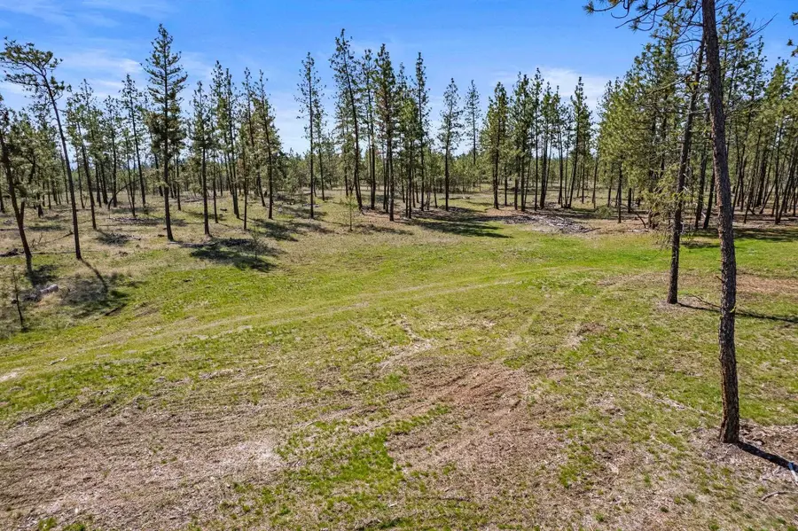 5742 Corkscrew Canyon Rd, Tumtum, WA 99034 - Image #2