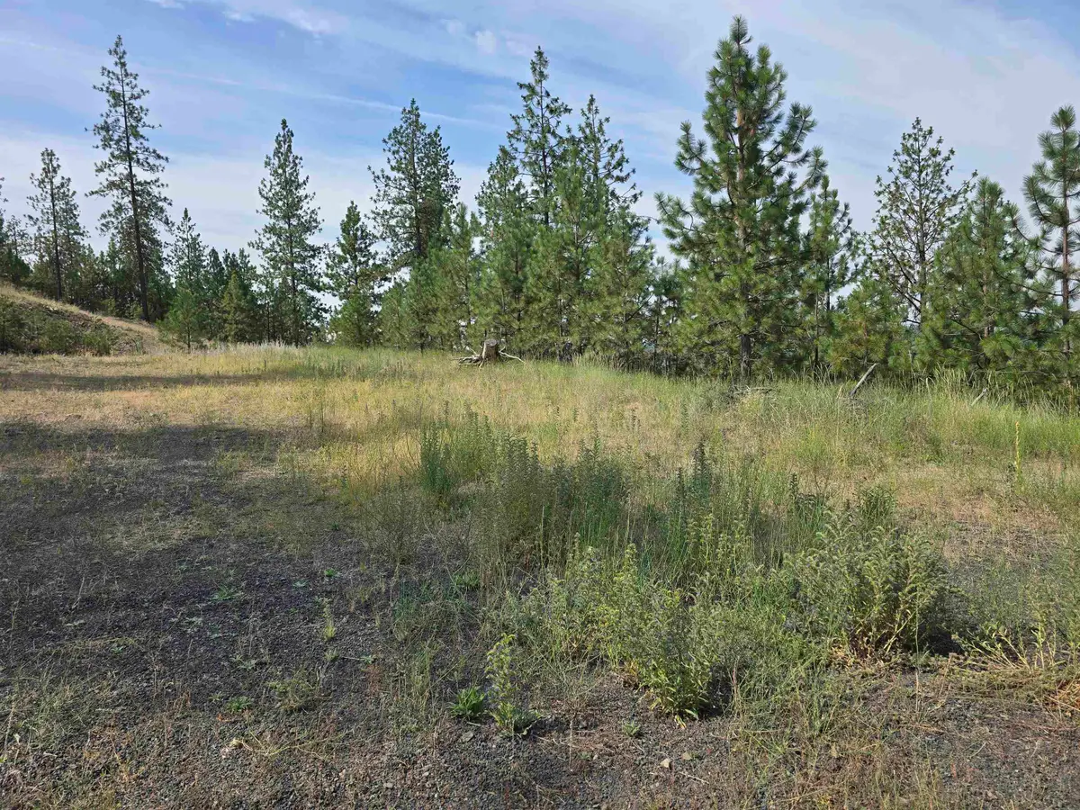 6499 Syringa Way, Nine Mile Falls, WA 99026 - Image #1