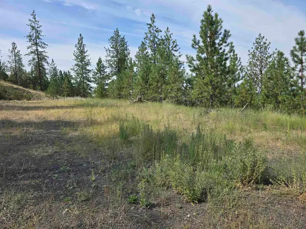 6499 Syringa Way, Nine Mile Falls, WA 99026