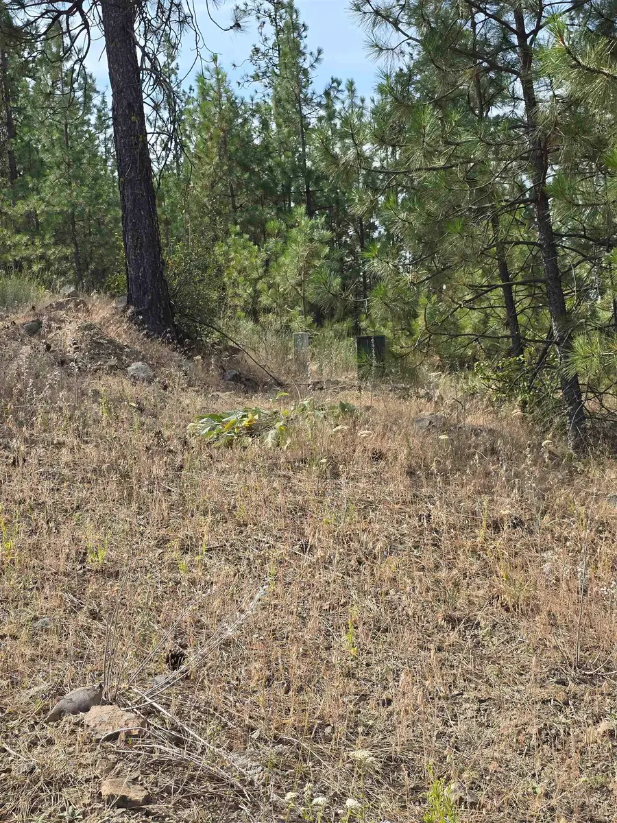 6499 Syringa Way, Nine Mile Falls, WA 99026 - Image #2