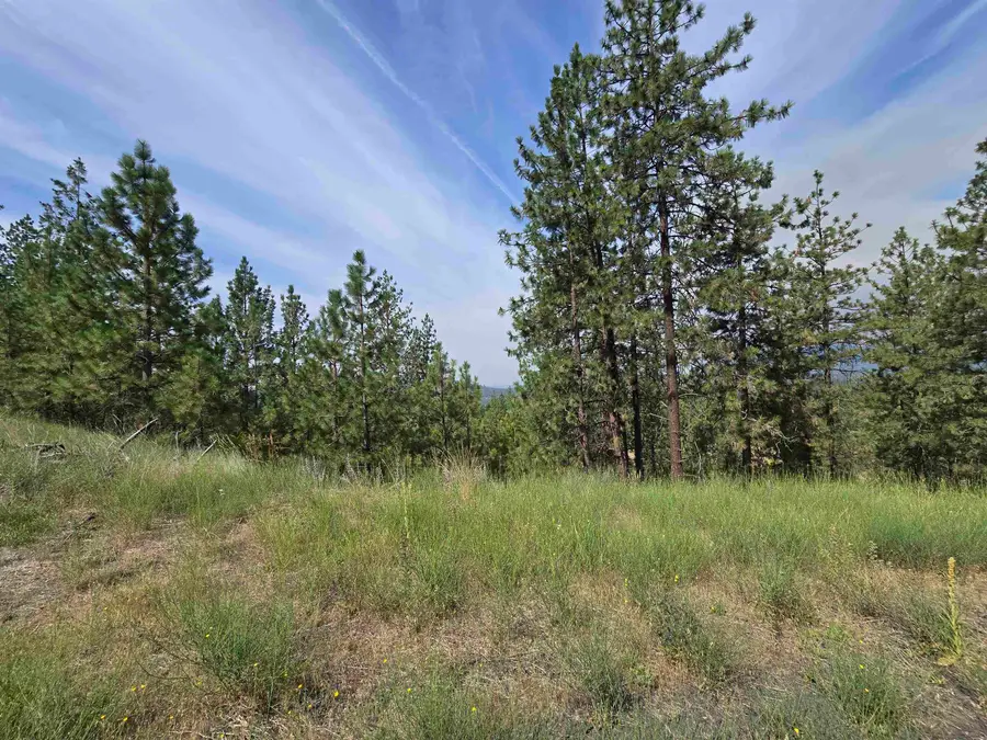 6499 Syringa Way, Nine Mile Falls, WA 99026 - Image #3