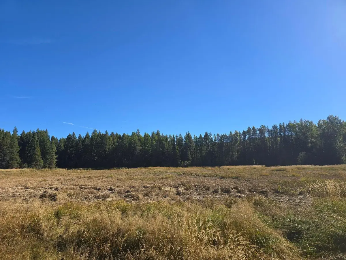 2XXX Quinns Meadow Rd, Colville, WA 99114-0000 - Image #1