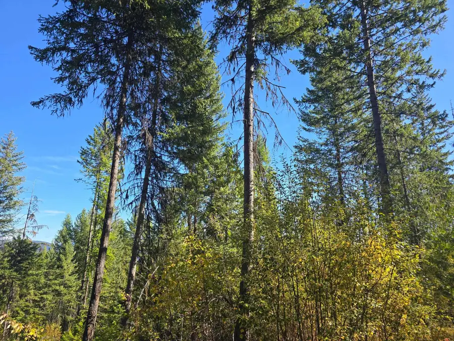 2XXX Quinns Meadow Rd, Colville, WA 99114-0000 - Image #3