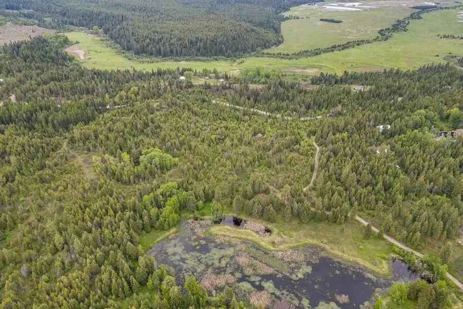 000 Hesseltine Lot 1 Rd, Valley, WA 99181 - Image #3