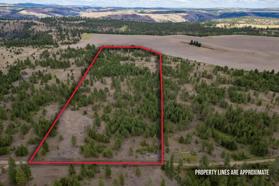 35450 N Prairie Ln, Creston, WA 99117 - Image #2