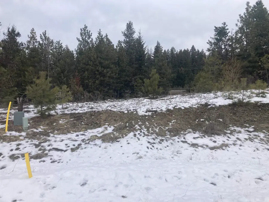 39941 Loon Lake Ct, Loon Lake, WA 99148 - Image #3