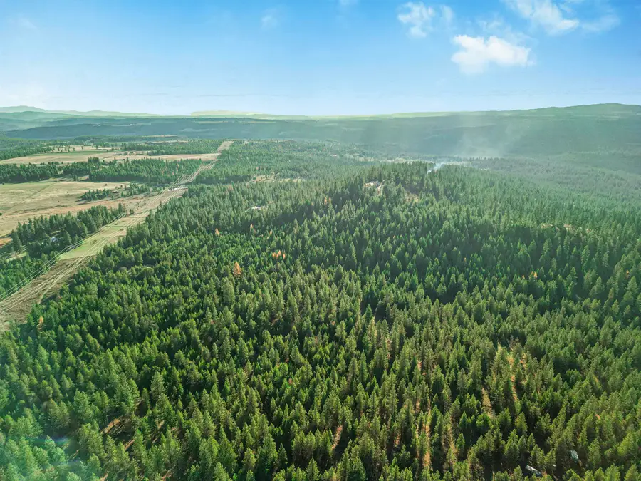 XXX N Waldrons Ln, Chattaroy, WA 99003 - Image #2