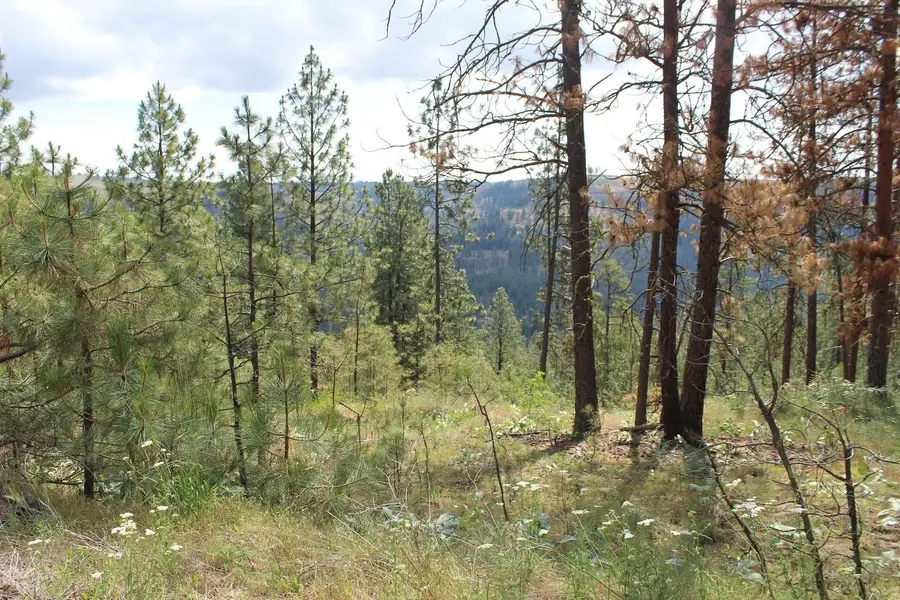 Badger Lot 1&2 Sontag Ridge Ln, Davenport, WA 99122 - Image #2