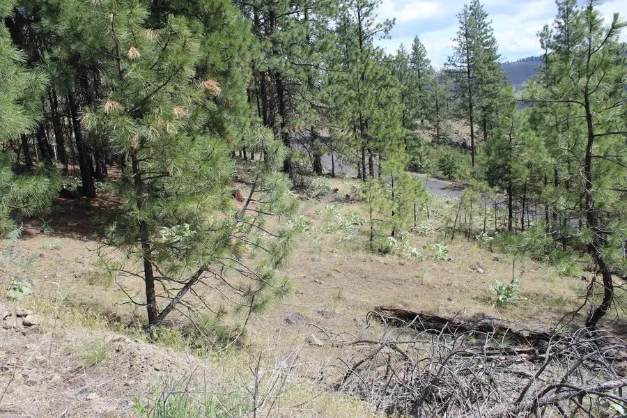 Badger Lot 1&2 Sontag Ridge Ln, Davenport, WA 99122 - Image #3