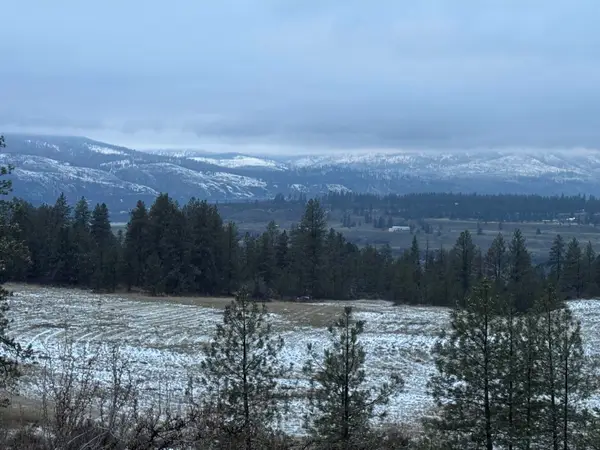 31625 E Hume Rd, Davenport, WA 99122