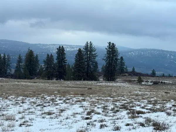 31705 E Hume Rd, Davenport, WA 99122