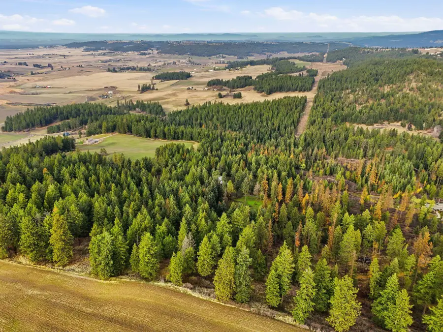 12112 E Burnett Rd, Mead, WA 99021 - Image #3