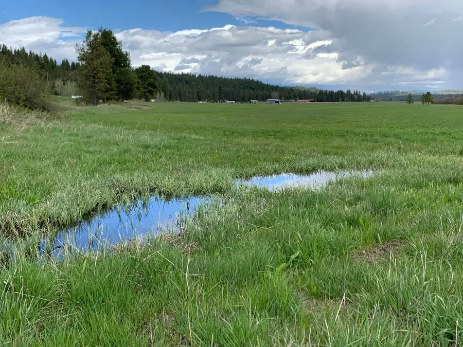 4681 Springdale Hunters Rd, Springdale, WA 99173 - Image #2