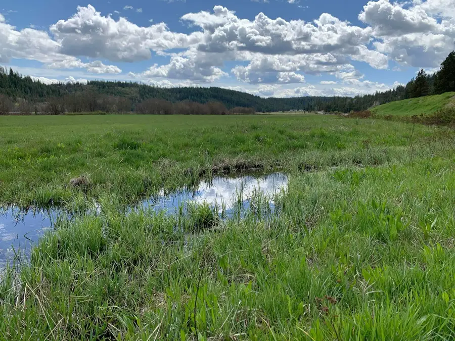 4681 Springdale Hunters Rd, Springdale, WA 99173 - Image #3