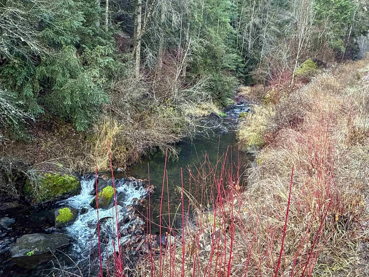 NKA Deer Creek Rd, Valley, WA 99181 - Image #1