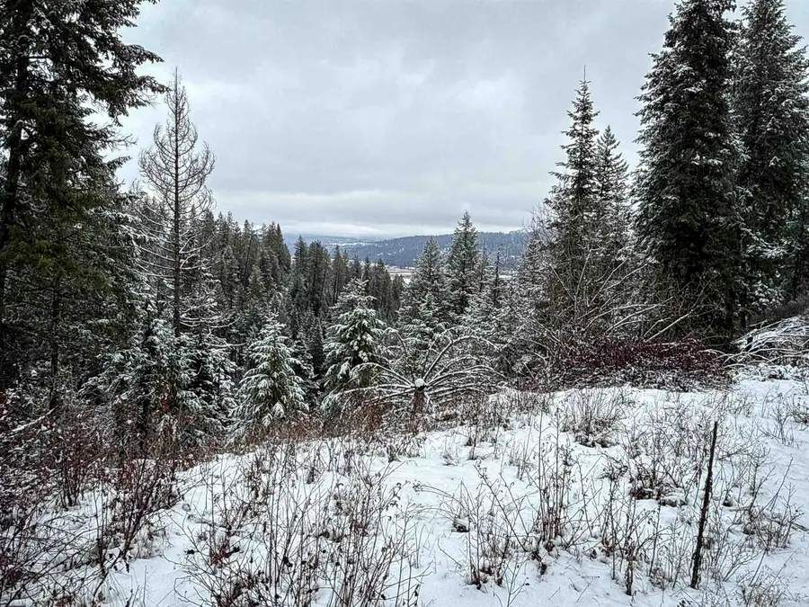 NKA Deer Creek Rd, Valley, WA 99181 - Image #2