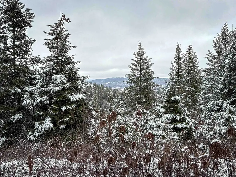 NKA Deer Creek Rd, Valley, WA 99181 - Image #3