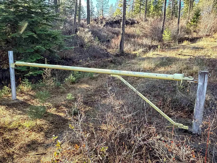 TBD Olinger (hammer) Rd, Springdale, WA 99173 - Image #2