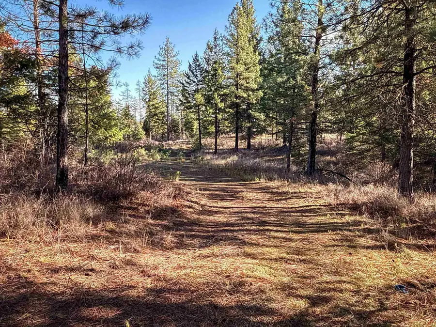 TBD Olinger (hammer) Rd, Springdale, WA 99173 - Image #3