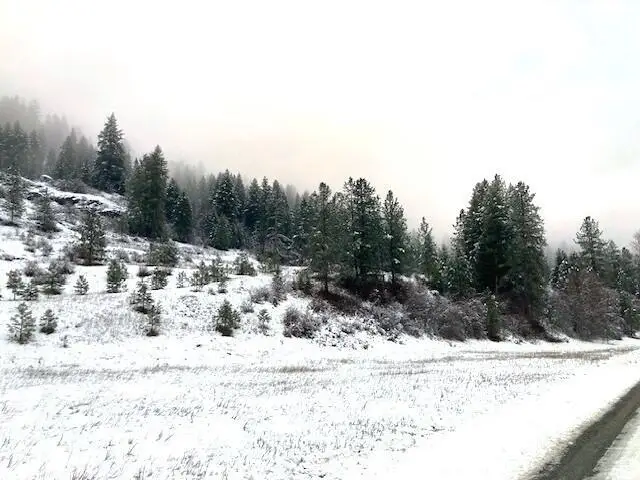 35XX Rockcut Rd, Kettle Falls, WA 99141 - Image #3