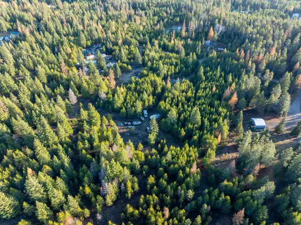 2141 Driskill Rd, Newport, WA 99156