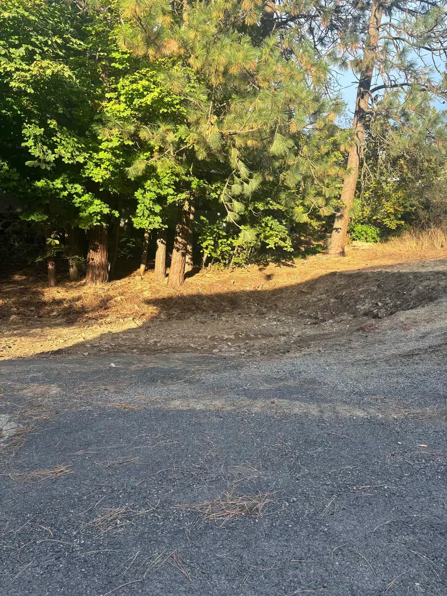 780 W Cliff Dr, Spokane, WA 99204 - Image #2