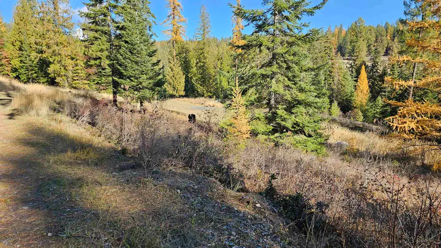 717 B Finley Gulch Rd, Colville, WA 99114 - Image #3