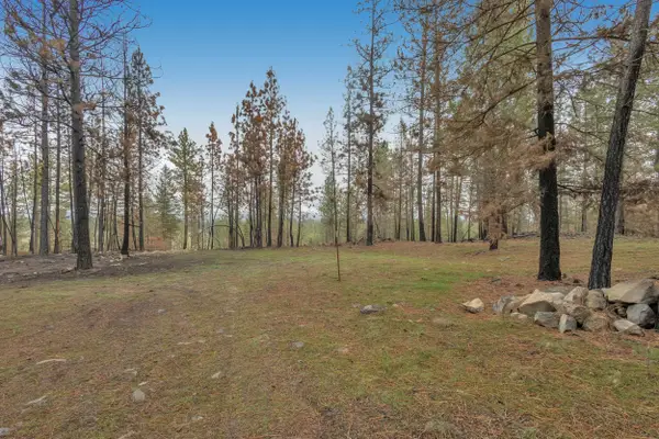 15817 Coyote Ridge Ln, Ford, WA 99013