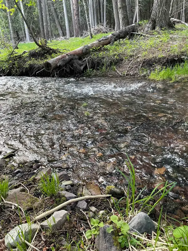 245 Night Hawk Ln, Newport, WA 99156