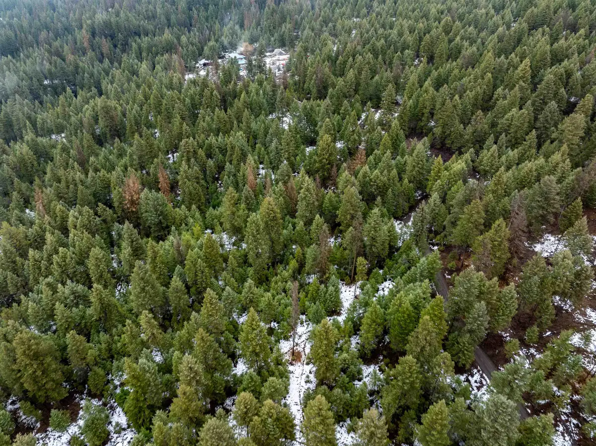 0 Quinns Meadow Rd, Colville, WA 99114 - Image #1