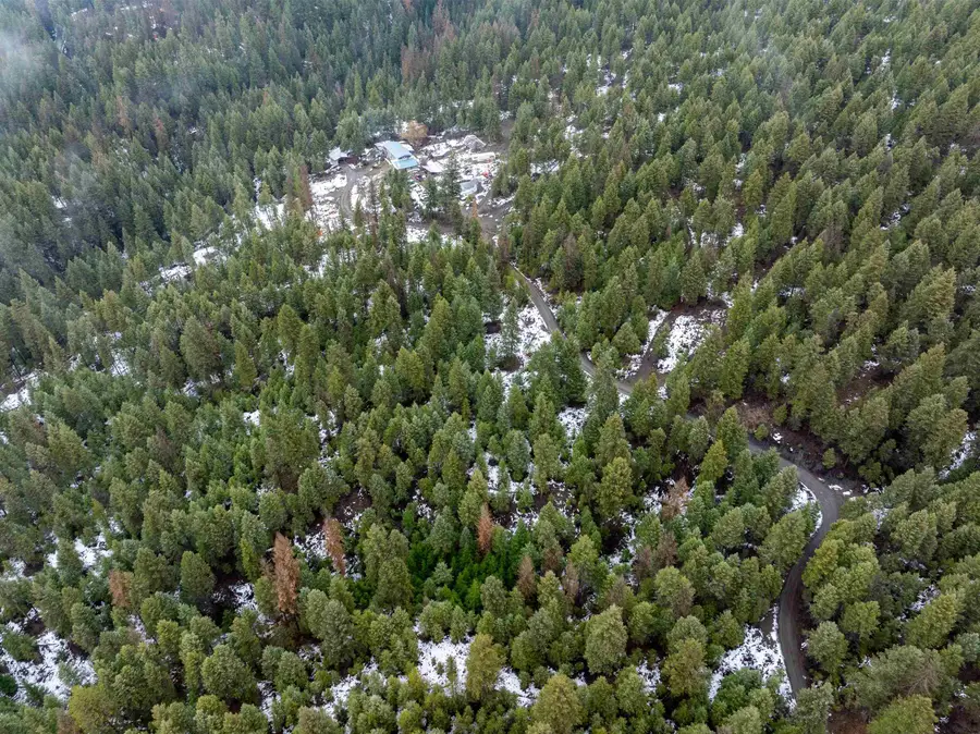 0 Quinns Meadow Rd, Colville, WA 99114 - Image #3