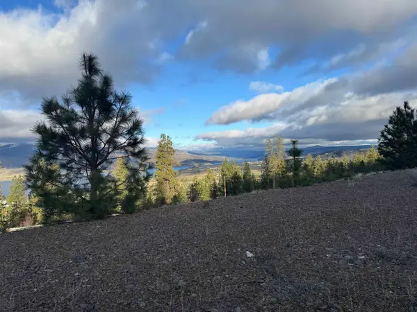 39909 Mattox Way N, Davenport, WA 99122