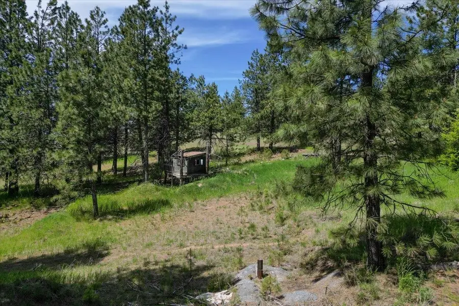 0 E Custer Ln, Spokane, WA 99223 - #3