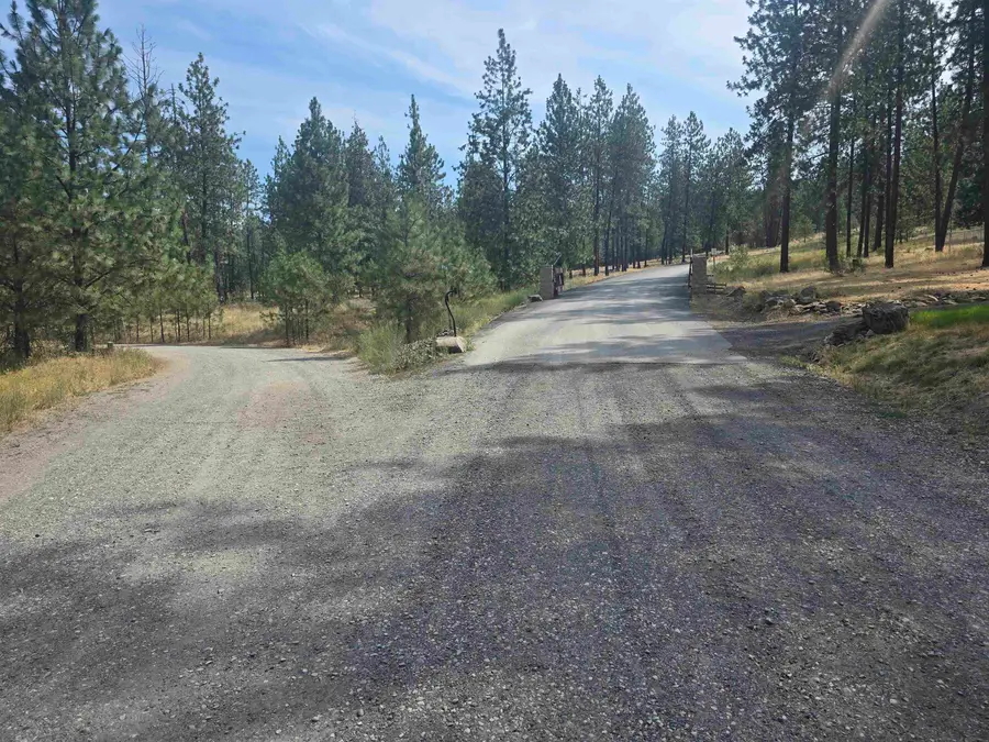 6499 Syringa Way, Nine Mile Falls, WA 99026 - #2