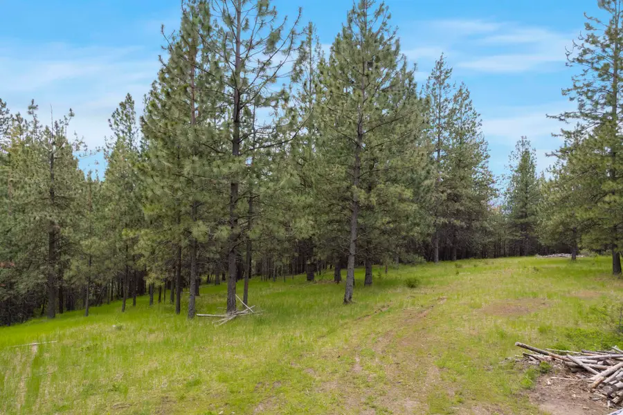 17534 E Off My Ln, Spokane, WA 99217 - Image #3