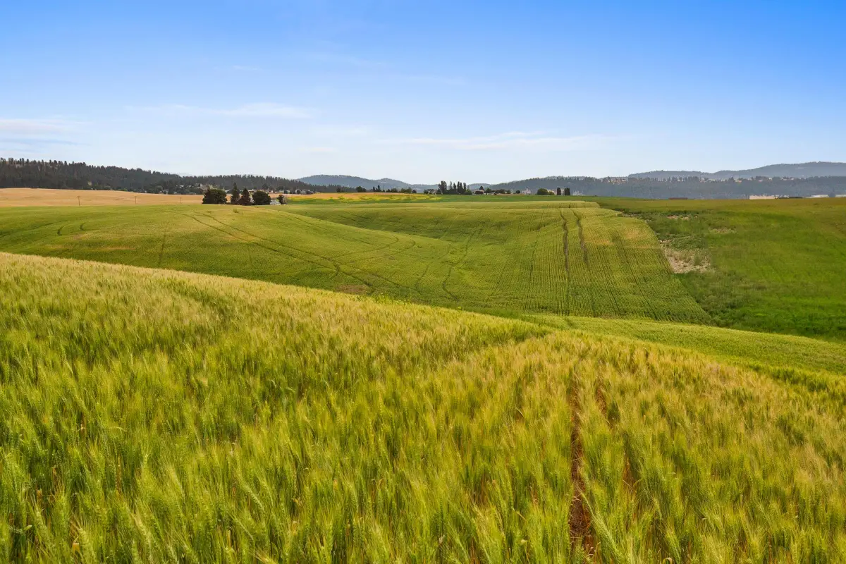 NKA N Bruce Rd, Colbert, WA 99021 - Image #1