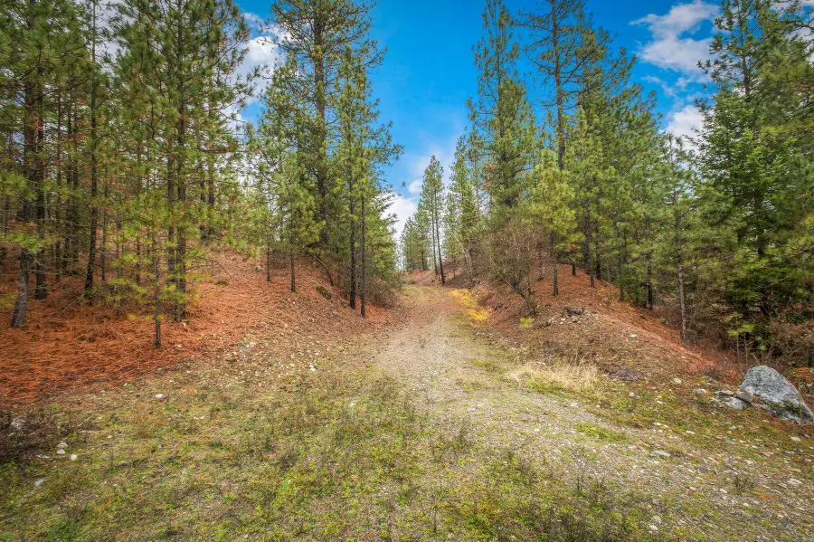 4425 Stonebrook Way, Springdale, WA 99173 - Image #3