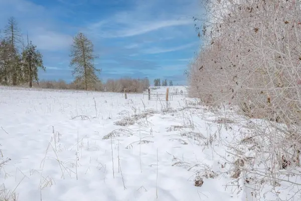 343XX N Spotted Rd, Deer Park, WA 99006