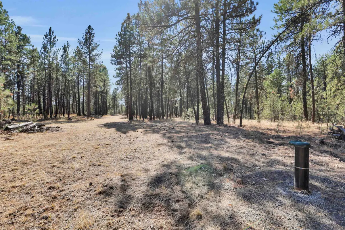 16619 S Sherman Rd, Cheney, WA 99004 - Image #1