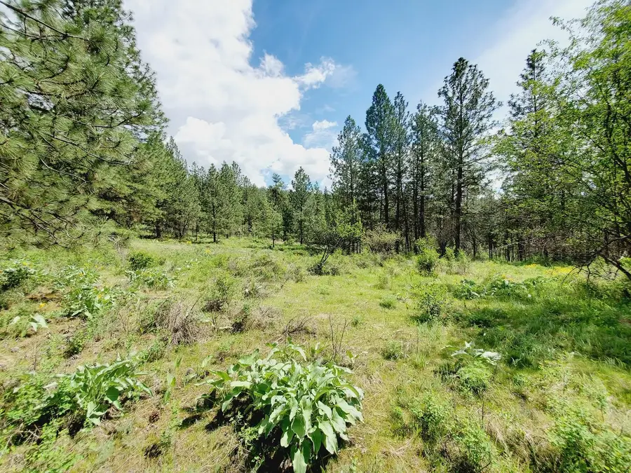 00 E Bigelow Gulch Rd, Spokane, WA 99217 - Image #2