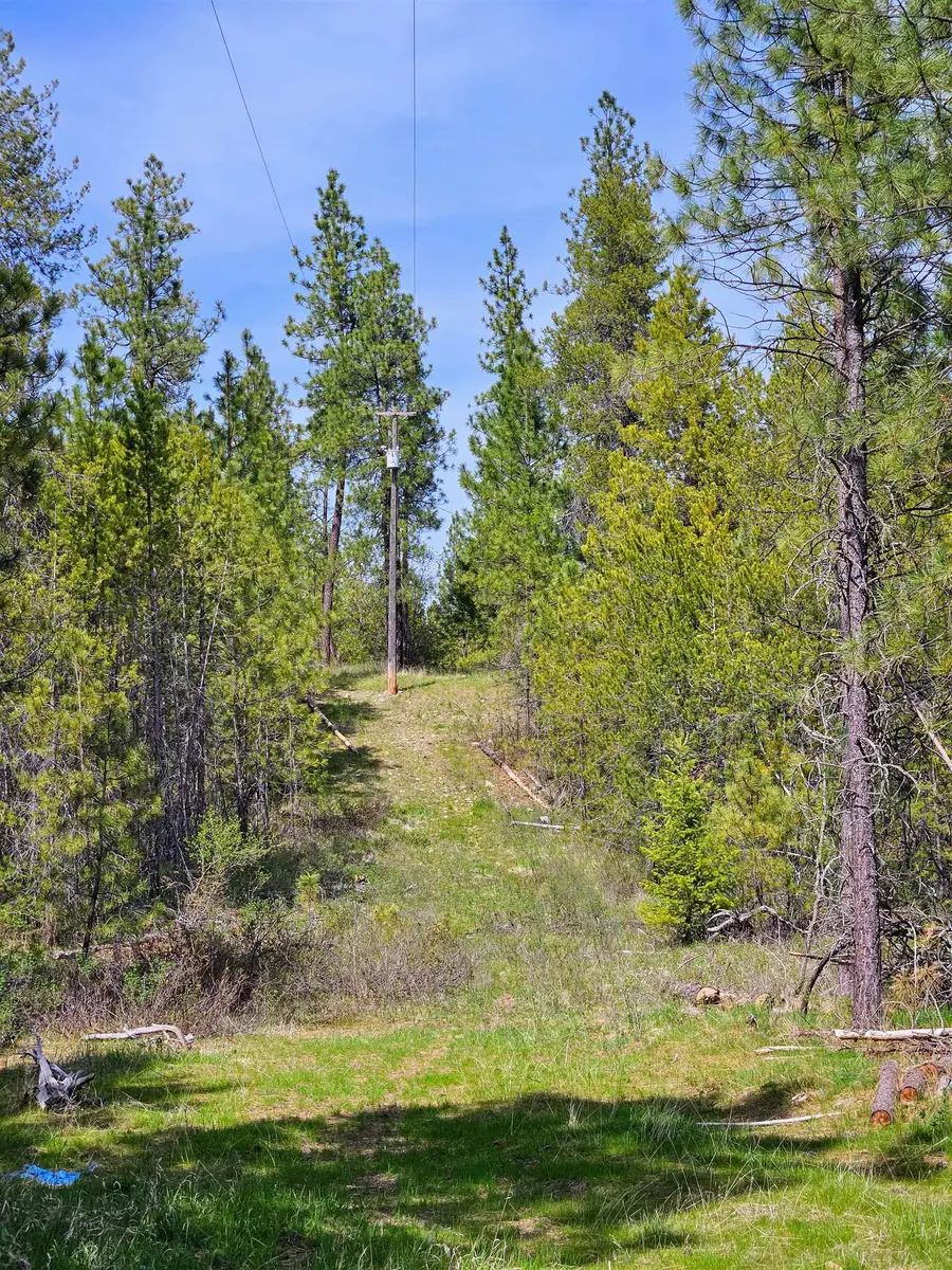 4464 Woods Way Rd, Springdale, WA 99173 - #2
