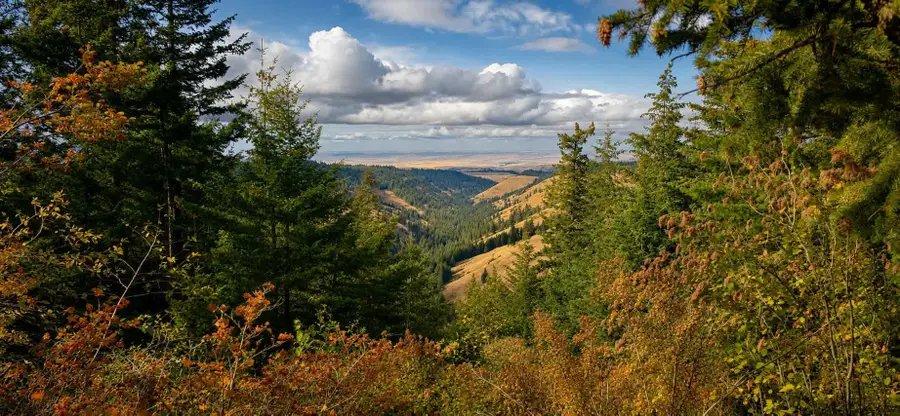 30 Acres On Biscuit Ridge Rdg, Other, WA 99361 - #3