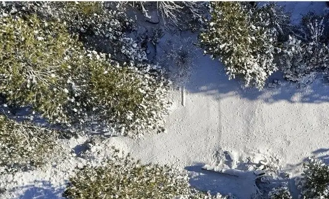 4238 E 22nd Ave, Spokane, WA 99223 - Image #2