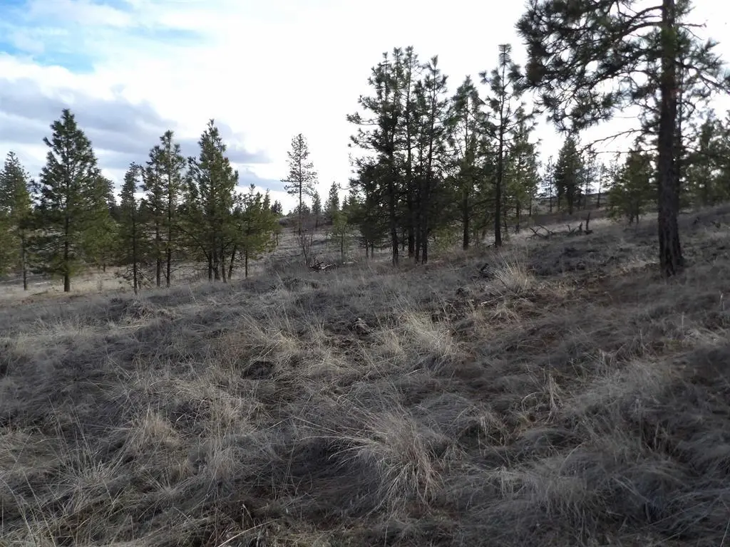 Tract E Meadow Lane Rd, Davenport, WA 99122 - #1