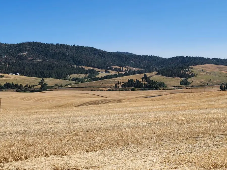 S 8006 Jackson Rd, Mica, WA 99023 - Image #2