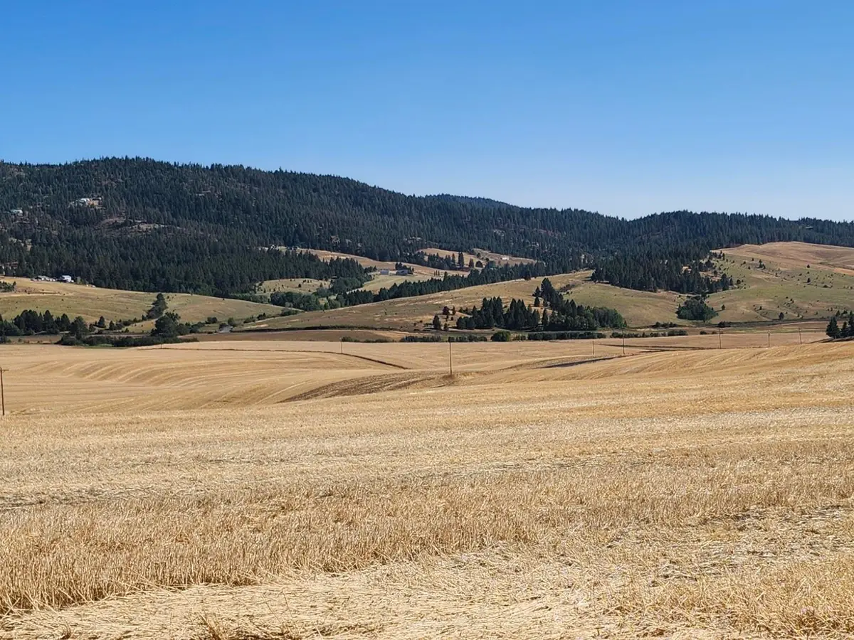 S 8004 Jackson Rd, Mica, WA 99023 - Image #1