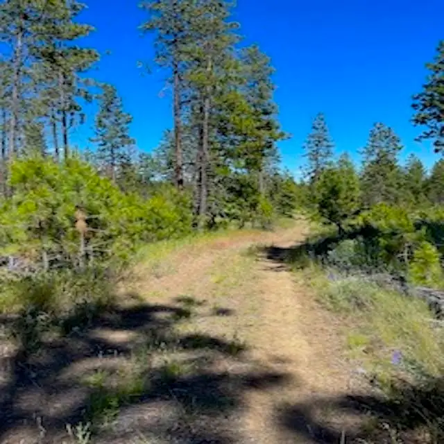Lot B Kronos Short Plat/pine Hen Ln, Davenport, WA 99122 - Image #1